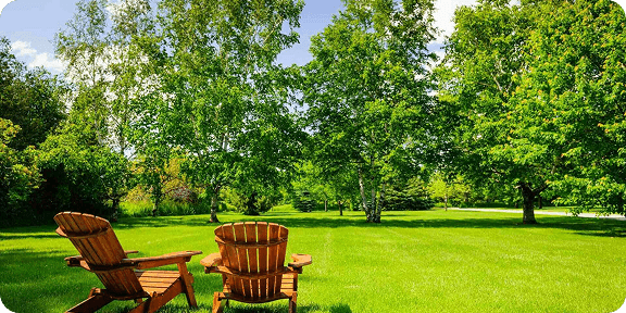 Зеленая поляня с стульями